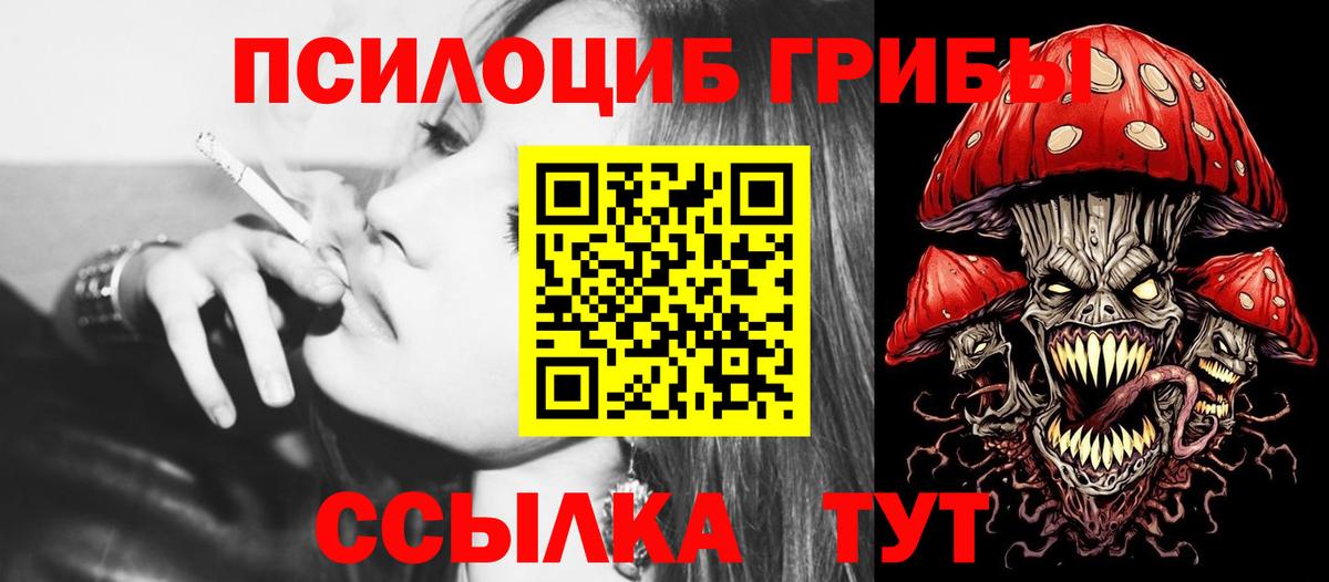 Сертолово  Псилоцибиновые грибы прущие грибы  цены   Вход с VPN  Псилоцибиновые грибы Cubensis 
