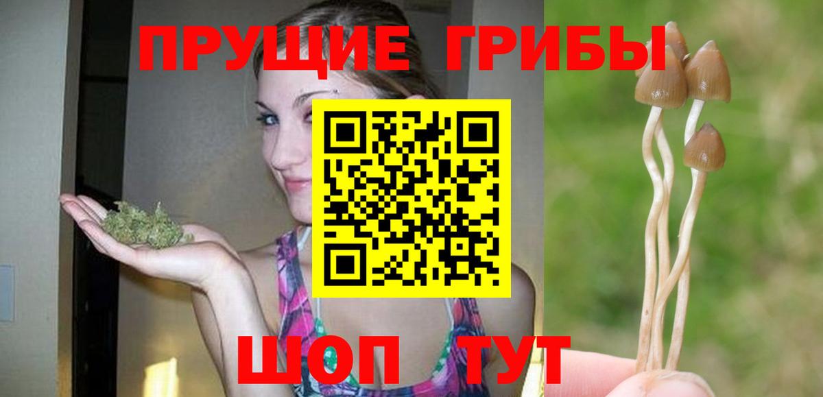 Галлюциногенные грибы мицелий Сертолово